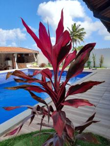 Casa em Jacumã com piscina e vista MAR