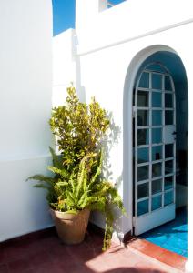 20 Rue Gourna, Kasbah, Tangier 90000, Morocco.