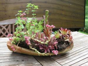 Bienenwagen der Naturheilpraxis Melchger