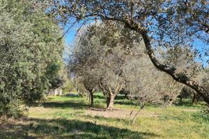 Maisons de vacances Home Charmant des Alpilles : photos des chambres