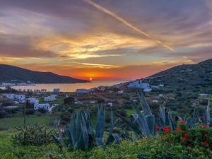 Angeliki Pension Amorgos Greece