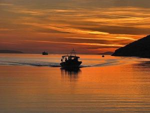 Angeliki Pension Amorgos Greece