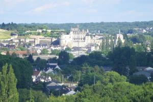 Maisons de vacances Gite de l'Amboisien breathtaking view of the valley and castle of Amboise : photos des chambres