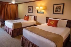 Double Queen Poolside Guestroom room in Wild Bear Inn