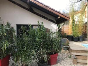 Maisons d'hotes Matin de Saone : Suite avec Terrasse  - Non remboursable