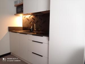 Apartament RUBUS 007