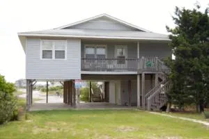 Sunflower - Monogram