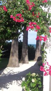 La Casa di Nina