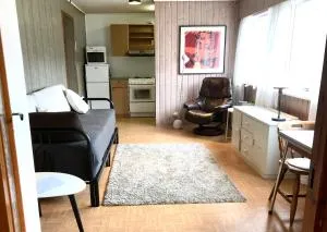 Villa Holmen 2 - Ground floor apartment - 旺斯内斯