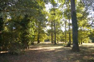 Maison lAmrique welcome you to one of their rooms Dogs are also welcomed