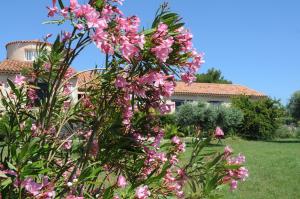 Maisons d'hotes Residence 