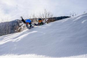 Chalets Tamo : photos des chambres