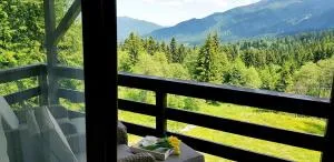 Vanilla Residence Predeal - Предял