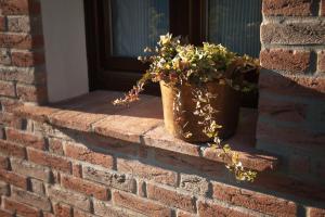 Camera Matrimoniale con Balcone