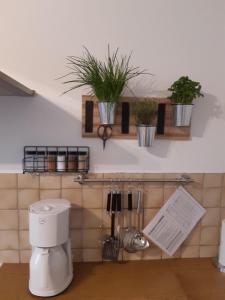 Le relais du cheval blanc