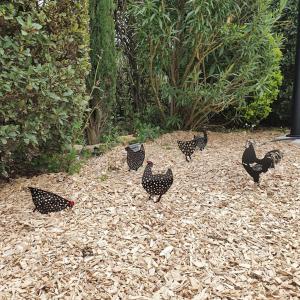 B&B / Chambres d'hotes Le Domaine des Muriers - charme, chic, calme en Provence Cote d'Azur : photos des chambres