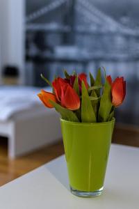Stars of Zagreb Apartments 