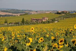 Fontegirasole - a Fontanaro Property