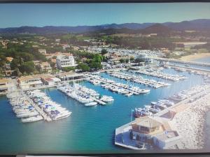 Appartements Studio Mezzanine vue port et mer : photos des chambres