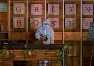 Greenhost Boutique Hotel Prawirotaman