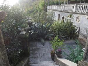 Villa Castiglioni Apartment