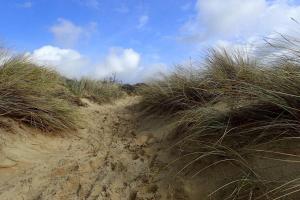 Maisons de vacances Gite « Les Oyats » a 400 m de la plage : photos des chambres