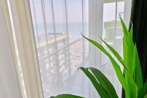 Diamond Sea View 2BR Apartment - Spa n Pools Resort