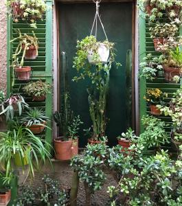 Appartements La Calade 1 bedroom Studio - Biot Village : photos des chambres