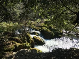 Appartements La Calade 1 bedroom Studio - Biot Village : photos des chambres