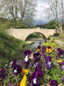 Appartements La Calade 1 bedroom Studio - Biot Village : photos des chambres