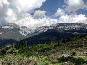 Camere de închiriat Larisa