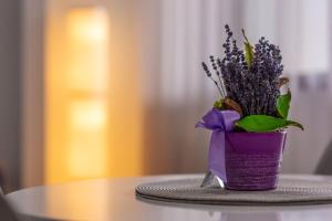 Bucegi View 39 - Colina Marei