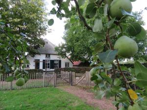 B&B De Willemshoeve