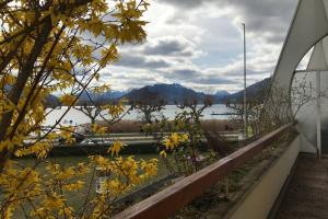 Appartements CHEZ JACQUES - terrasse avec vue lac et montagne : photos des chambres