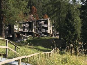 Hofer Apartment