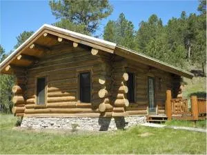 Renegade Log Cabin - Custer