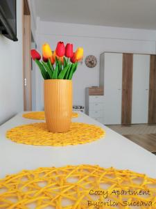 Cozy Apartment Bujorilor Suceava