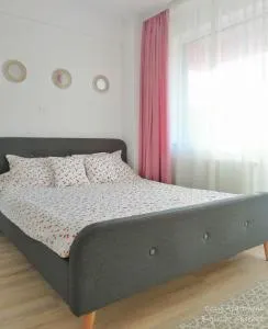 Cozy Apartment Bujorilor Suceava - Dragomirna