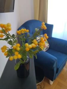 Lionas Central Apartment