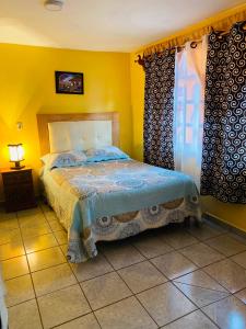 BONITO y AMPLIO DEPARTAMENTO con JARDÍN "EL PARAÍSO DE ZACATLÁN"