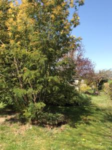 Maisons de vacances Gite O Beauval : photos des chambres