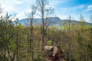 One-Bedroom House room in Trail Head
