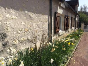 Maisons de vacances Gite O Beauval : photos des chambres