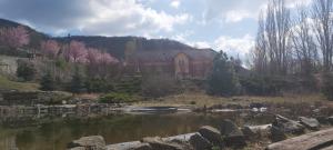 Tündérszikla Panzió