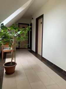 Tündérszikla Panzió