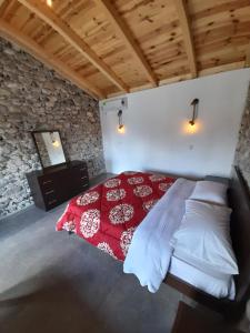 Windmill Shkodra Gesthouse Camping & Grill