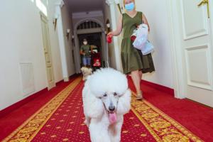 Europa Royale Druskininkai