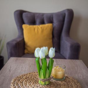 Apartmani MM Zlatibor