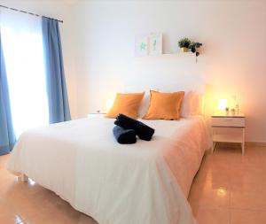 Silver Ocean Puerto Lajas by Sea You There Fuerteventura