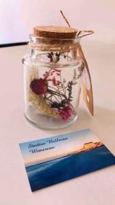 Appartements Pied a terre Wimereux a 2 pas de la plage et du centre : photos des chambres